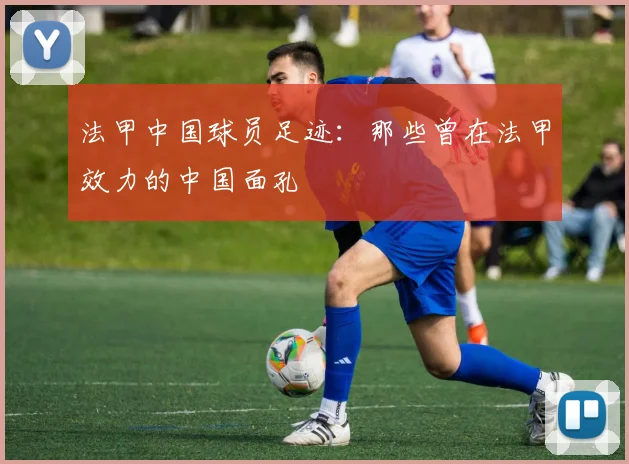 法甲中国球员足迹：那些曾在法甲效力的中国面孔