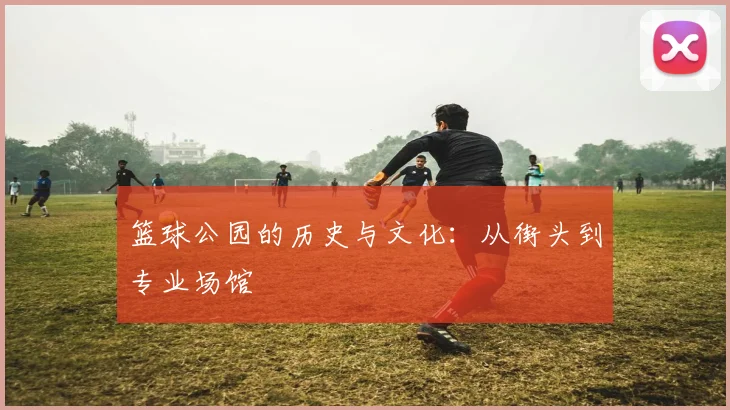 篮球公园的历史与文化：从街头到专业场馆