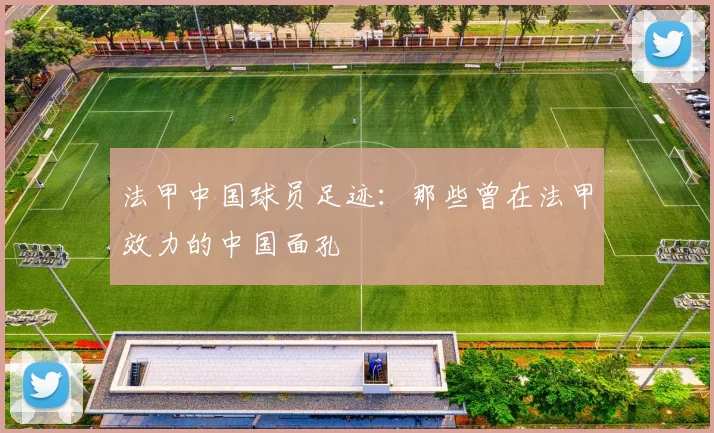 法甲中国球员足迹：那些曾在法甲效力的中国面孔