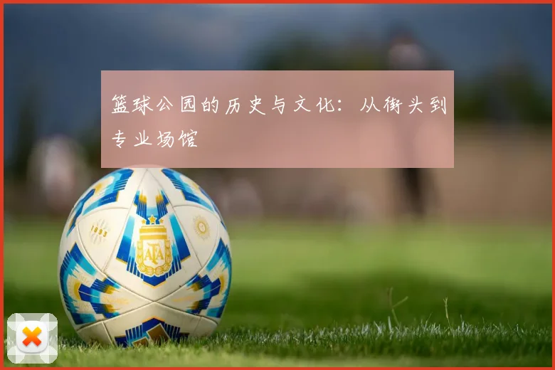 篮球公园的历史与文化:从街头到专业场馆