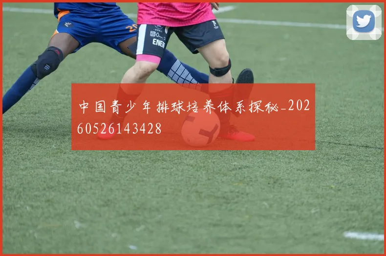 中国青少年排球培养体系探秘_20260526143428