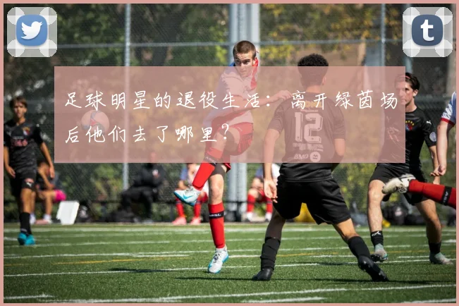 足球明星的退役生活：离开绿茵场后他们去了哪里？