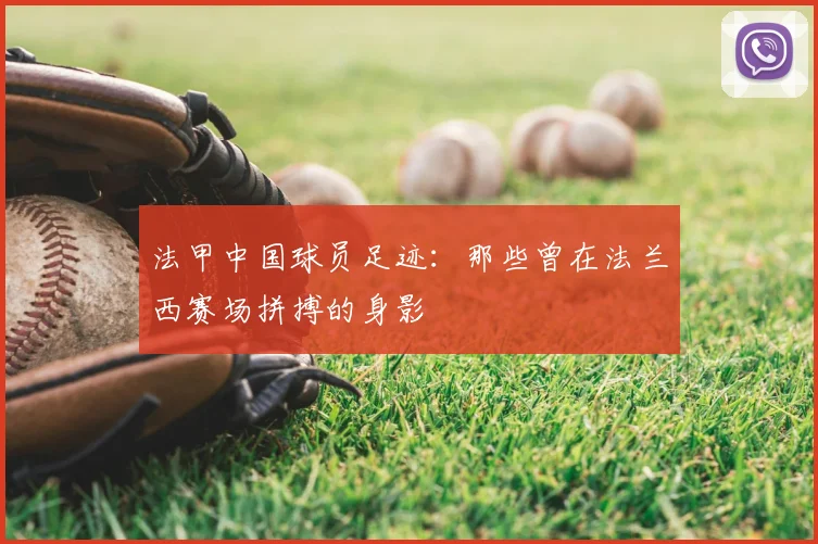 法甲中国球员足迹：那些曾在法兰西赛场拼搏的身影